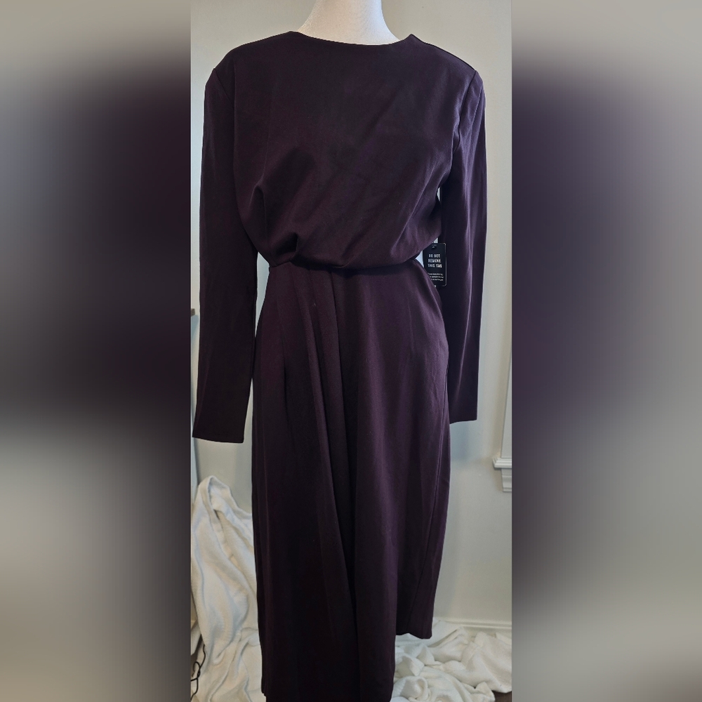 Express NWT Long-Sleeved Ruched Asymmetrical Hem Midi Dress Women's Size Medium - Picture 3 of 13